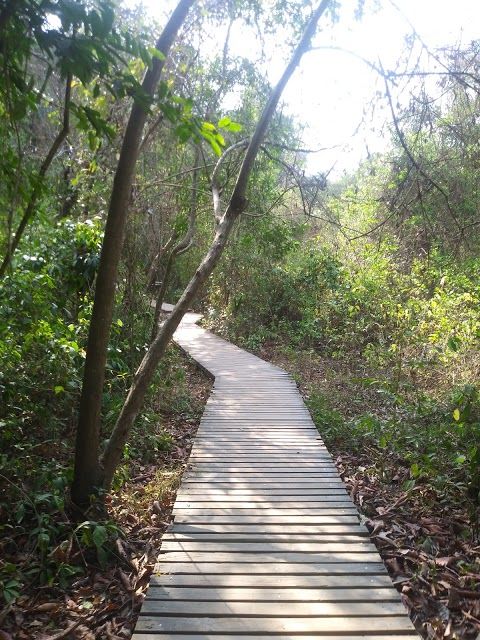 Parque Tairona