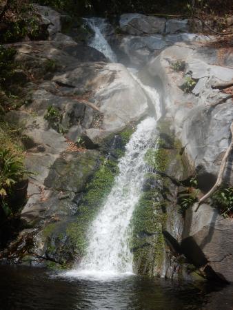 Minca Emerald Green Tours